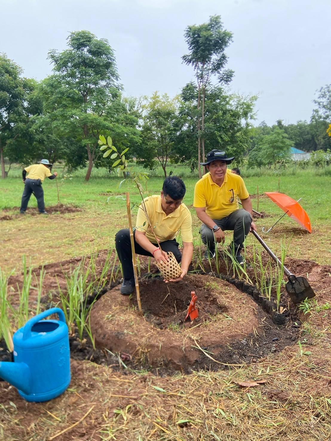 ภาพประกอบที่ 12