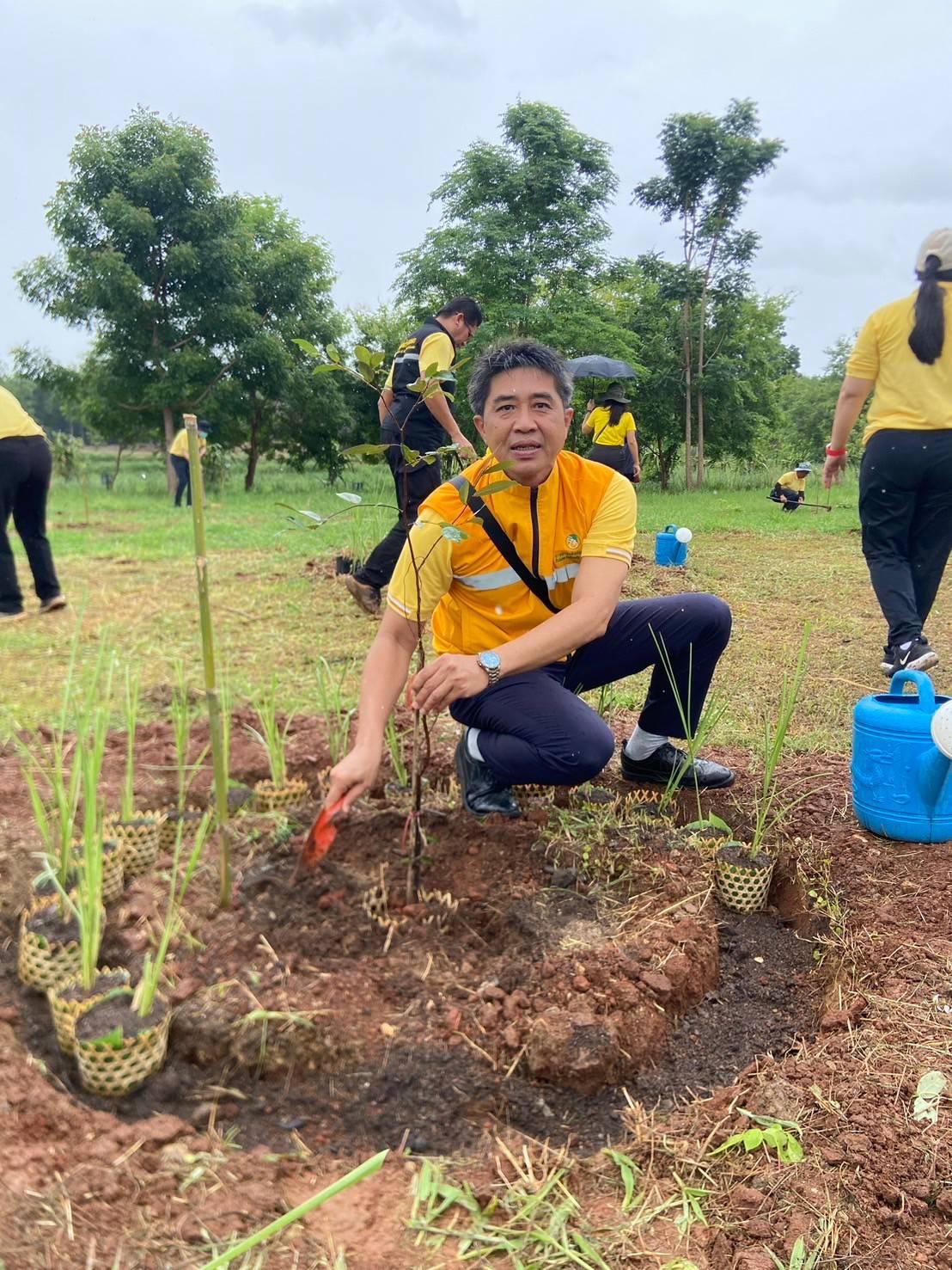 ภาพประกอบที่ 15