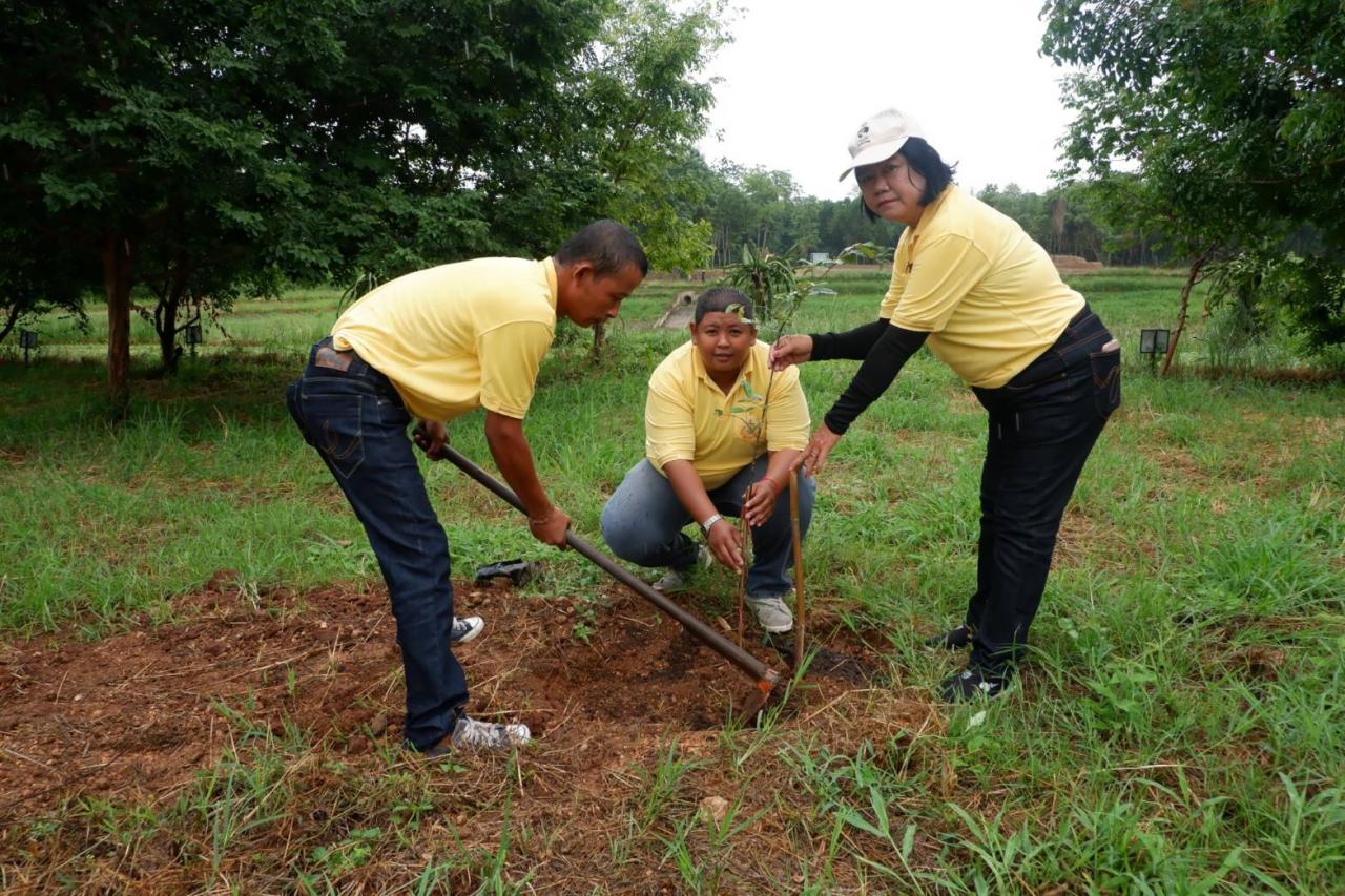 ภาพประกอบที่ 16