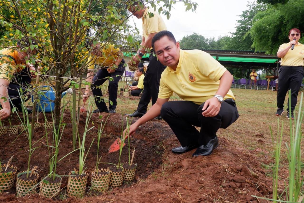 ภาพประกอบที่ 17