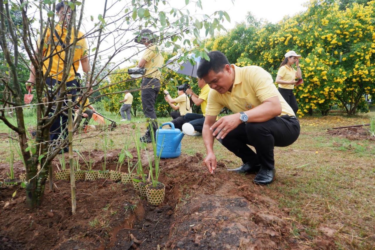 ภาพประกอบที่ 18