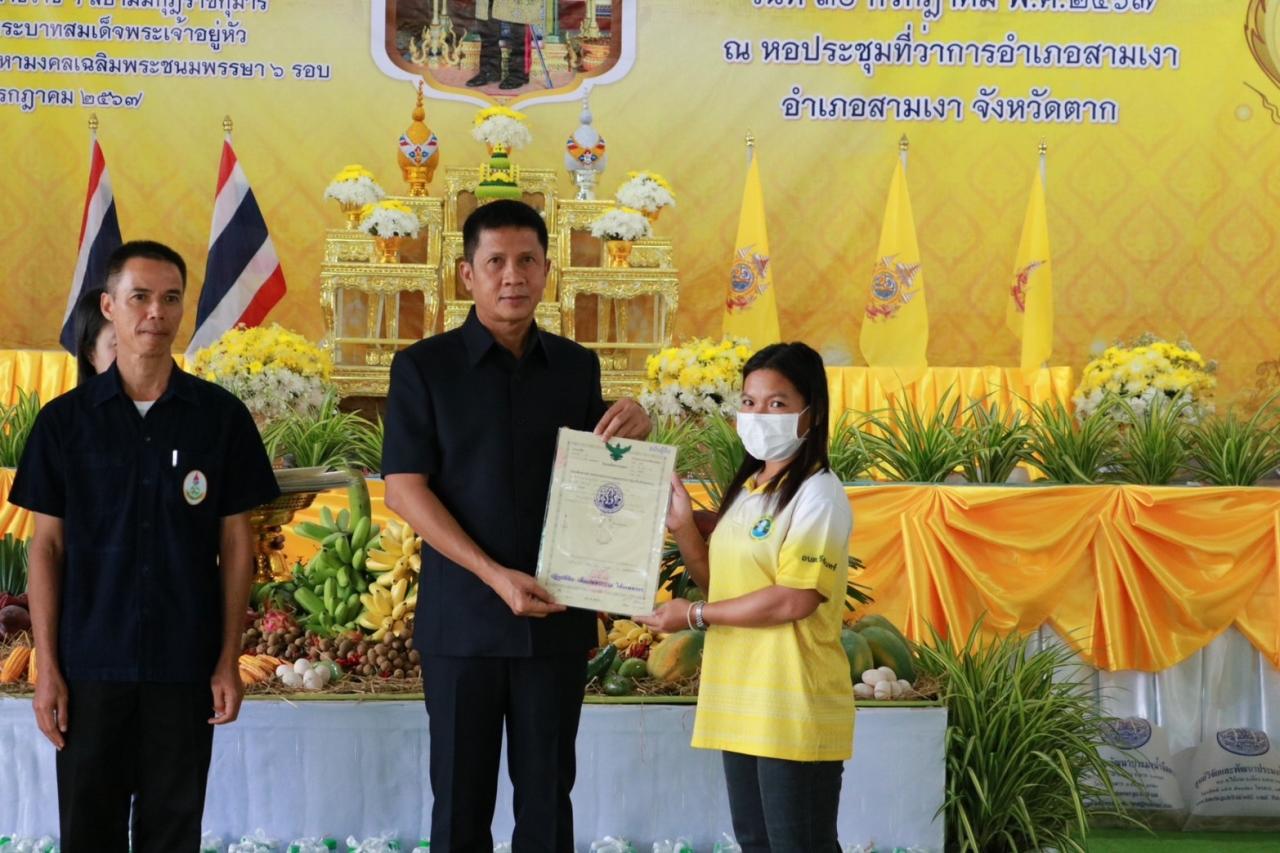 ภาพประกอบที่ 8