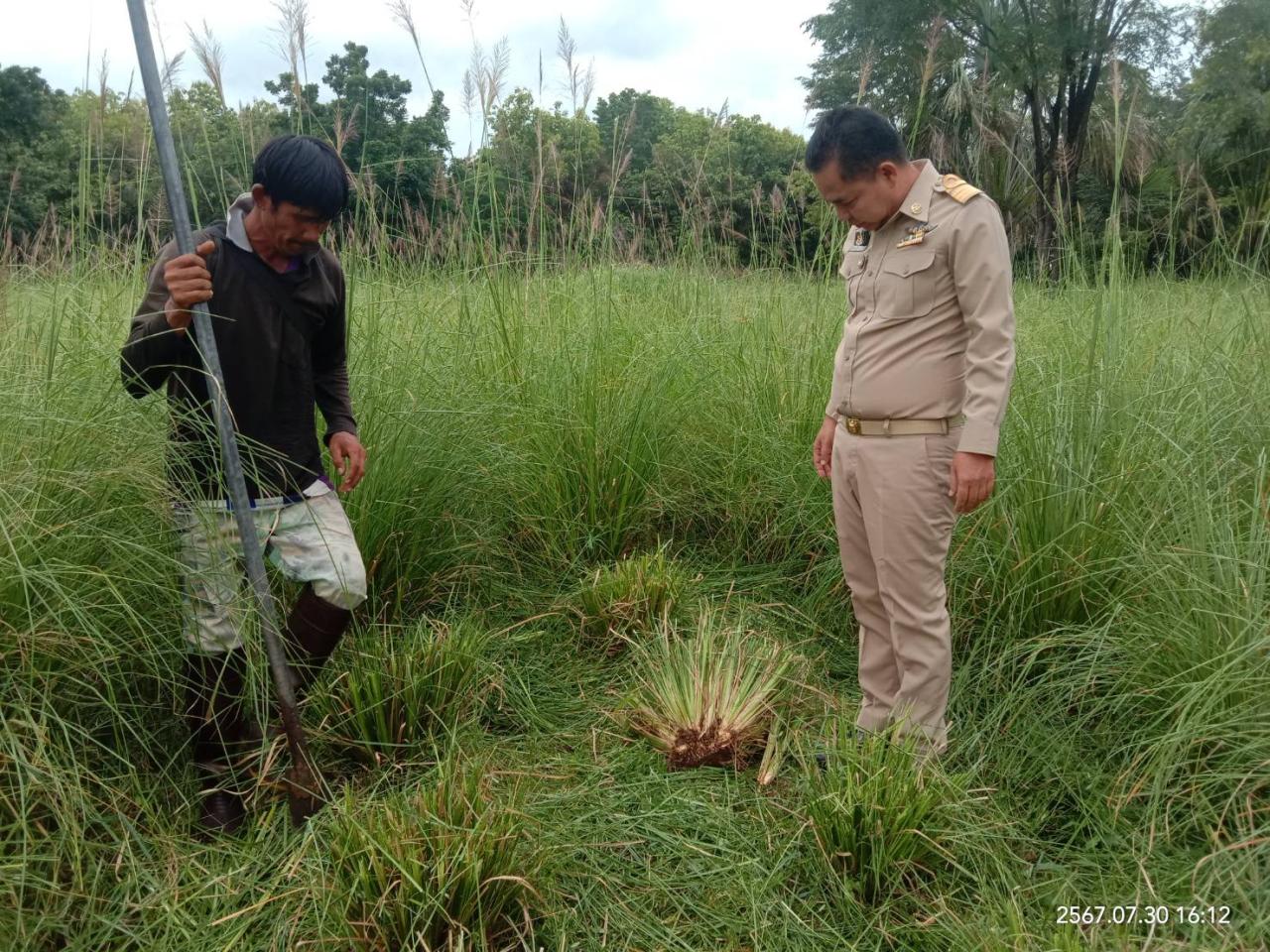 ภาพประกอบที่ 2