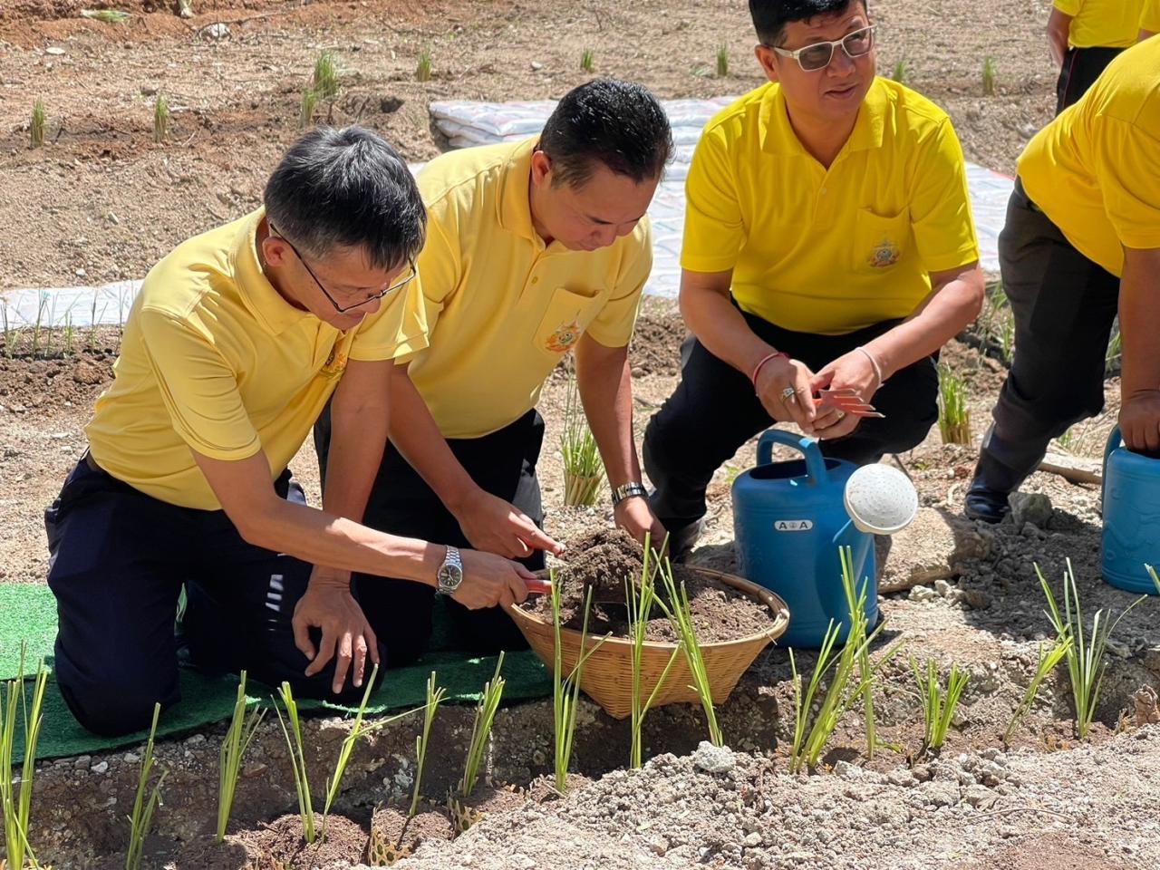 ภาพประกอบที่ 9