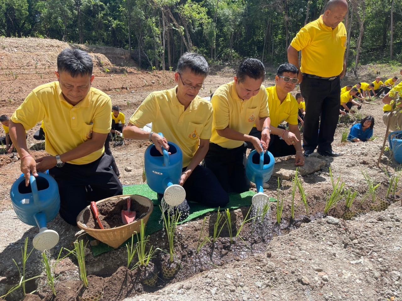 ภาพประกอบที่ 10