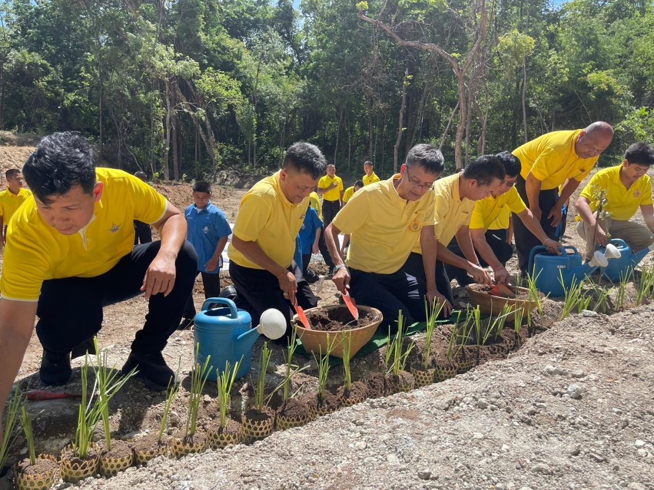 ภาพประกอบที่ 11