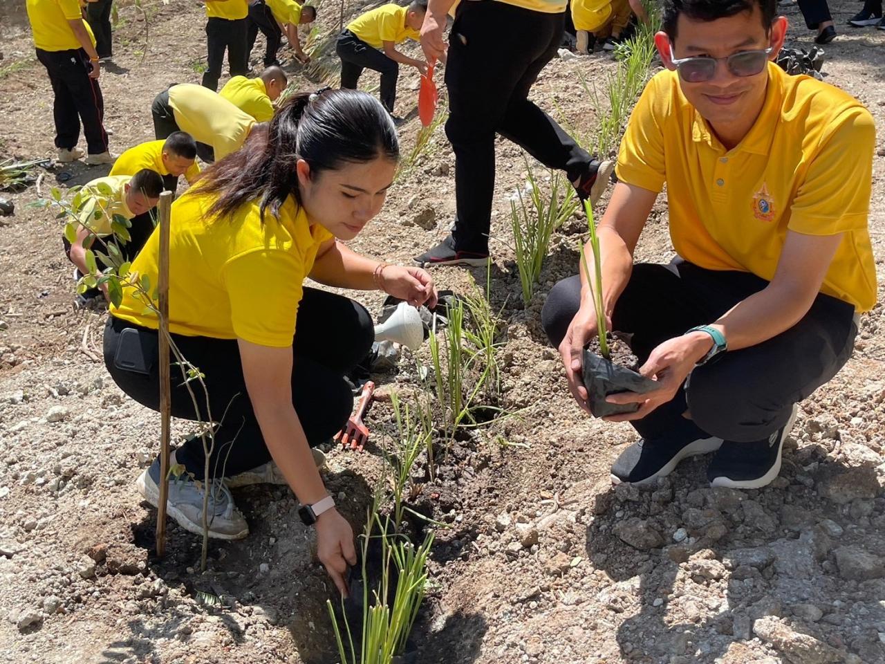 ภาพประกอบที่ 12