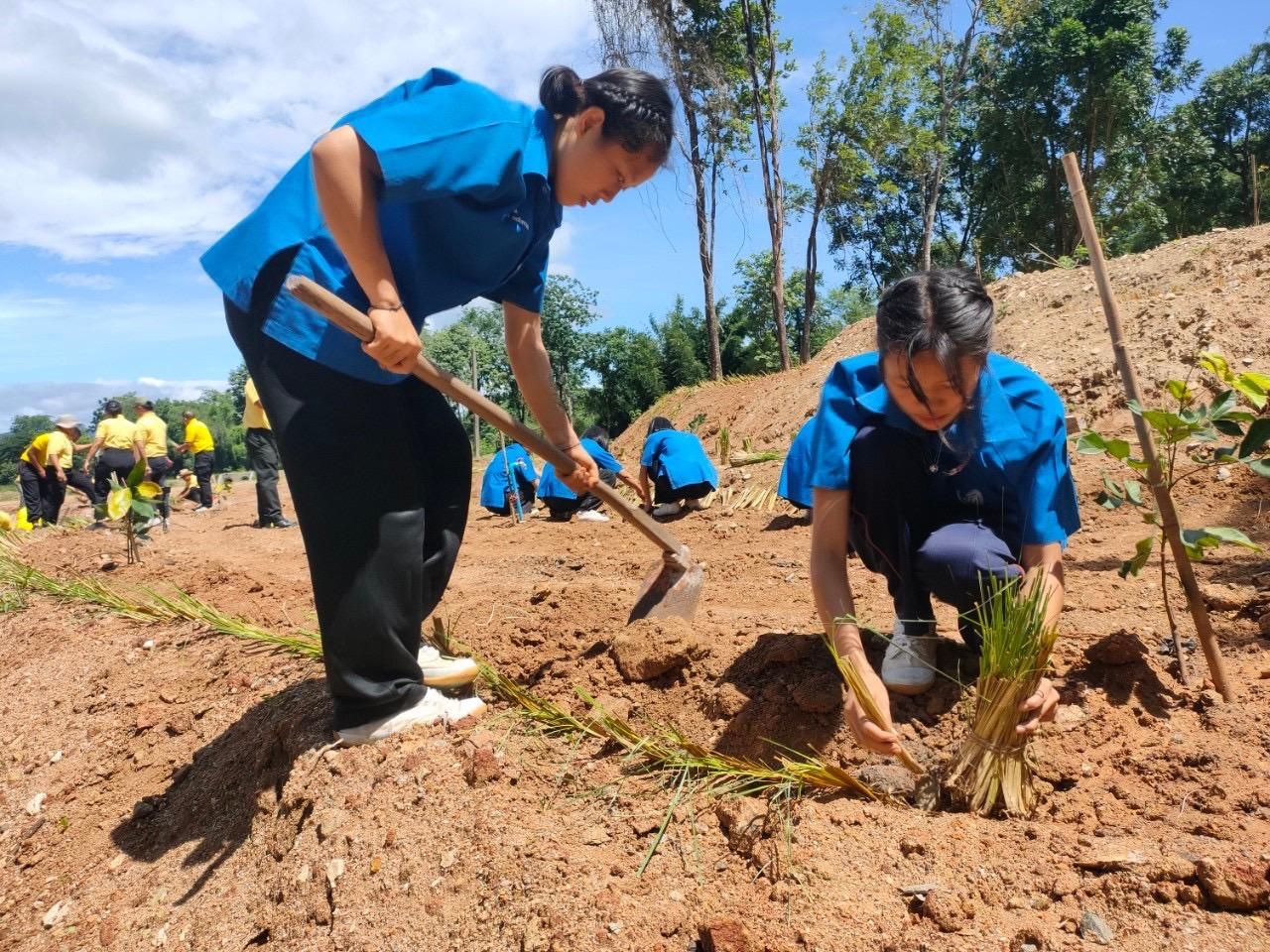 ภาพประกอบที่ 13