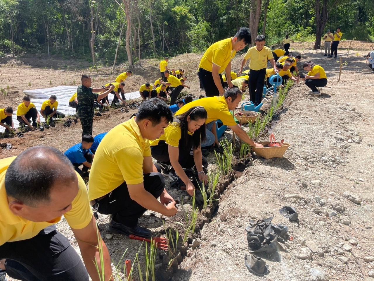 ภาพประกอบที่ 14