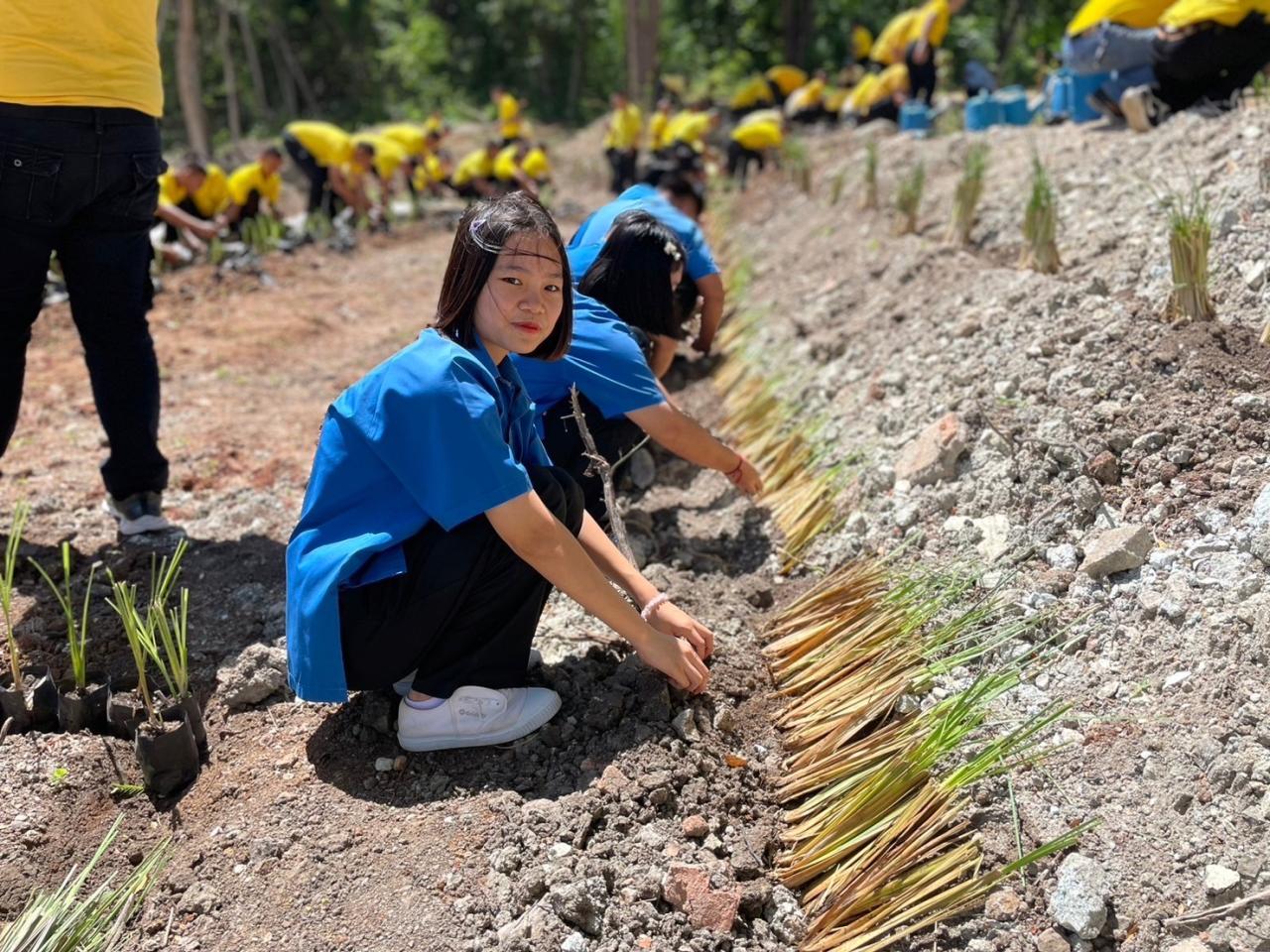 ภาพประกอบที่ 16