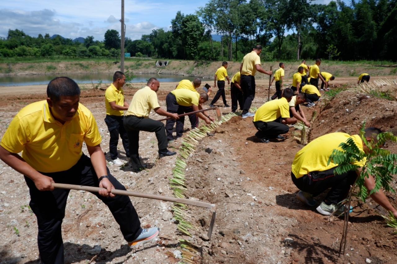 ภาพประกอบที่ 19