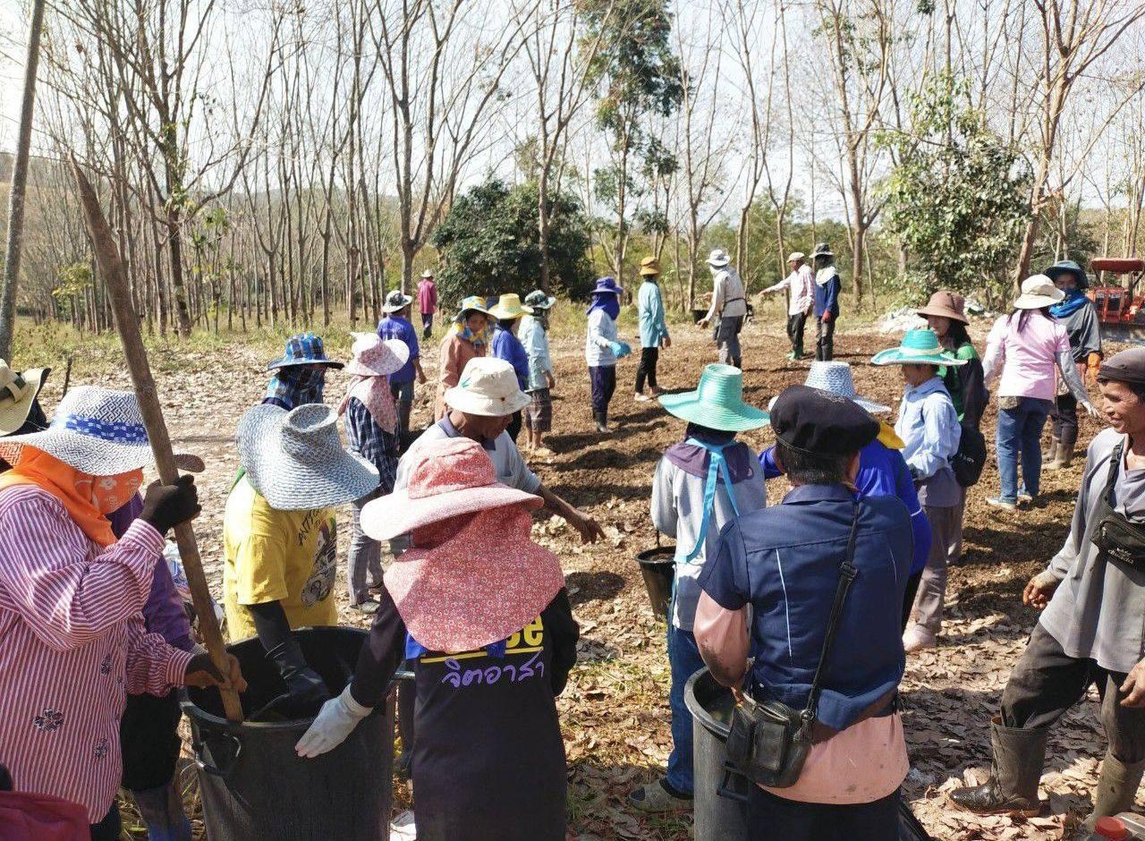 ภาพประกอบที่ 3
