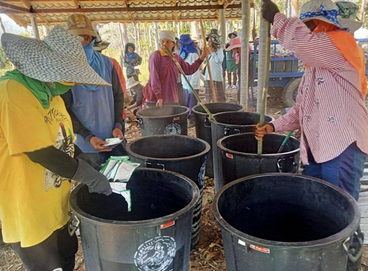 ภาพประกอบที่ 4