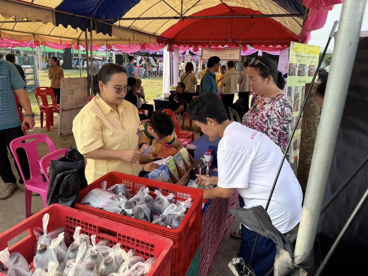 ภาพประกอบที่ 4