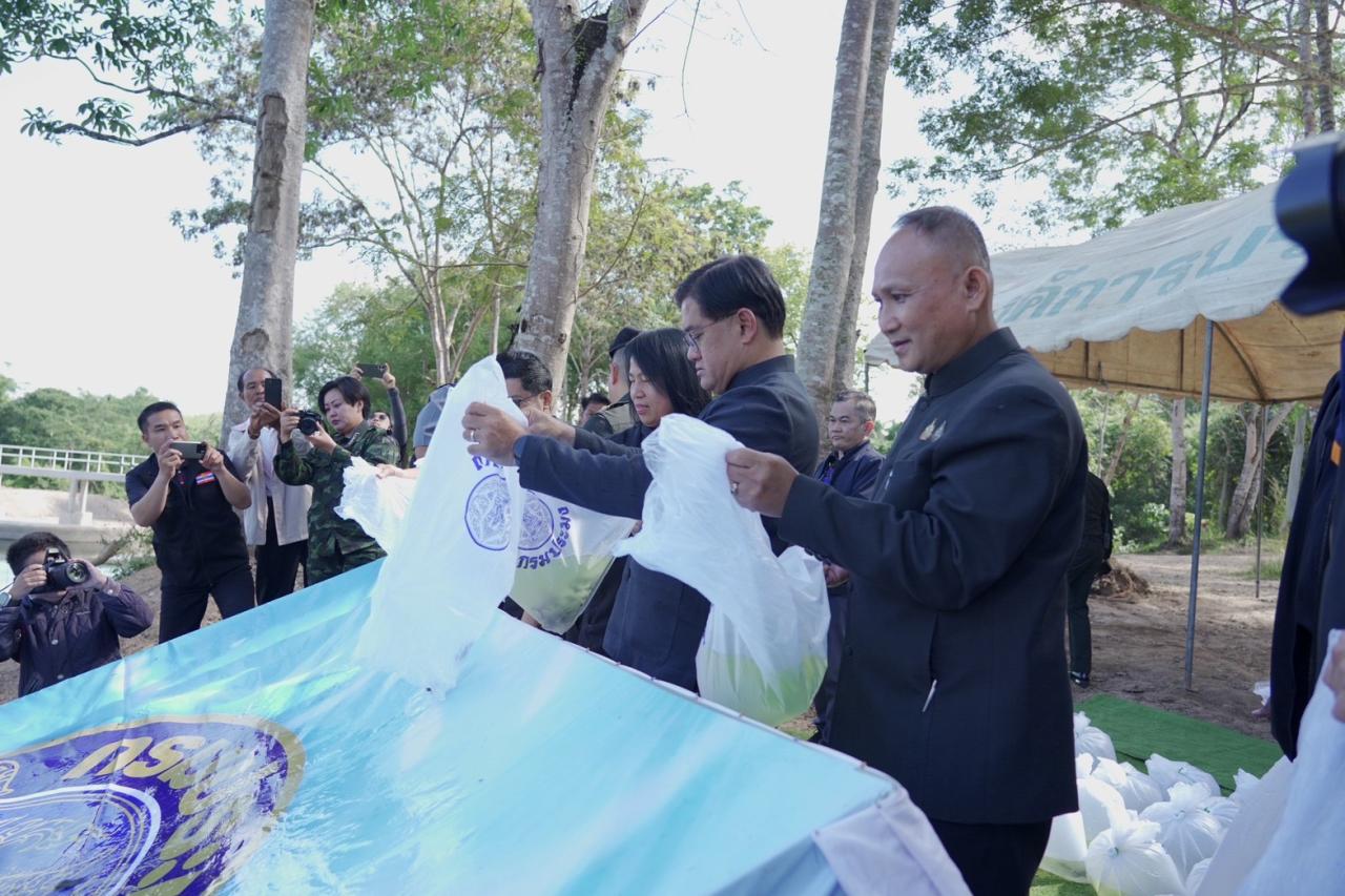 ภาพประกอบที่ 2