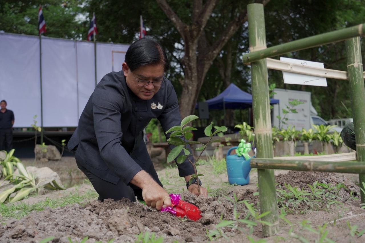 ภาพประกอบที่ 3