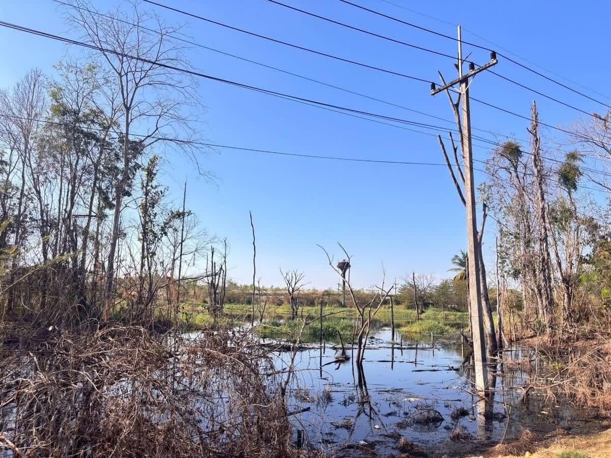 ภาพประกอบที่ 5