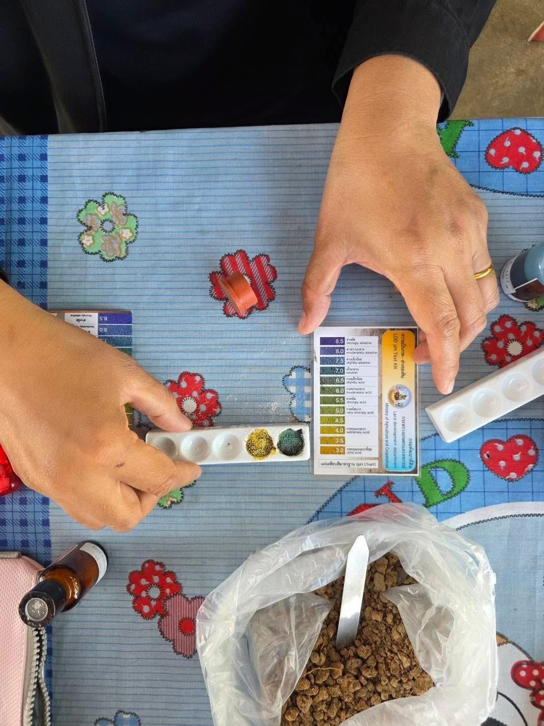 ภาพประกอบที่ 0