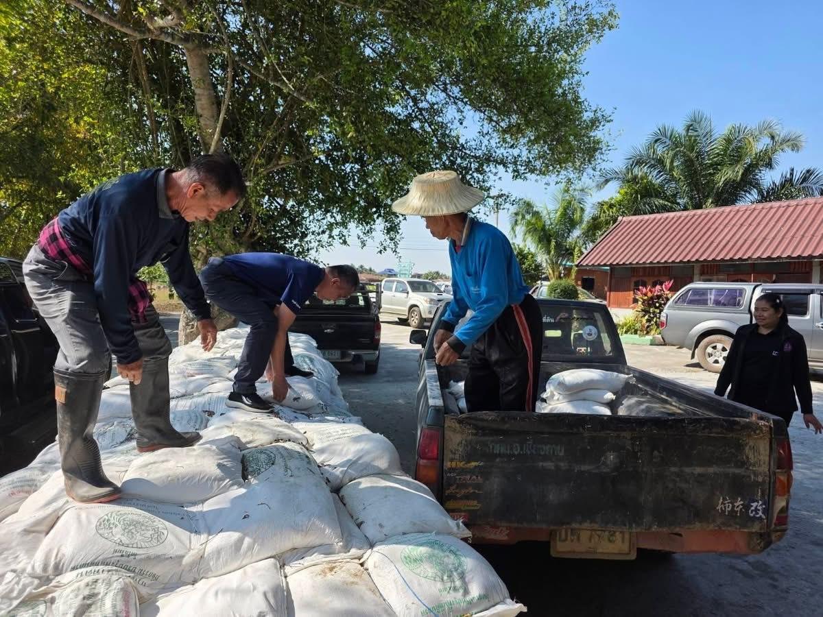 ภาพประกอบที่ 1