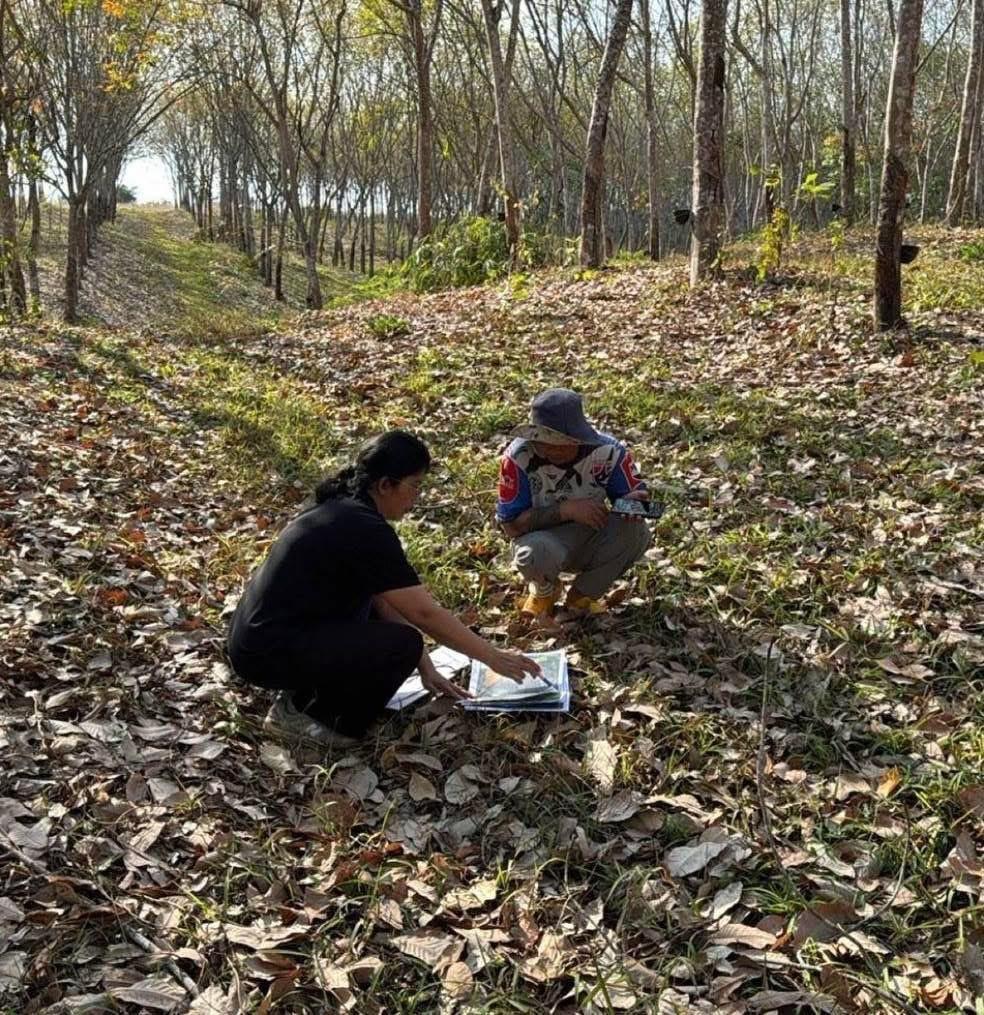 ภาพประกอบที่ 1