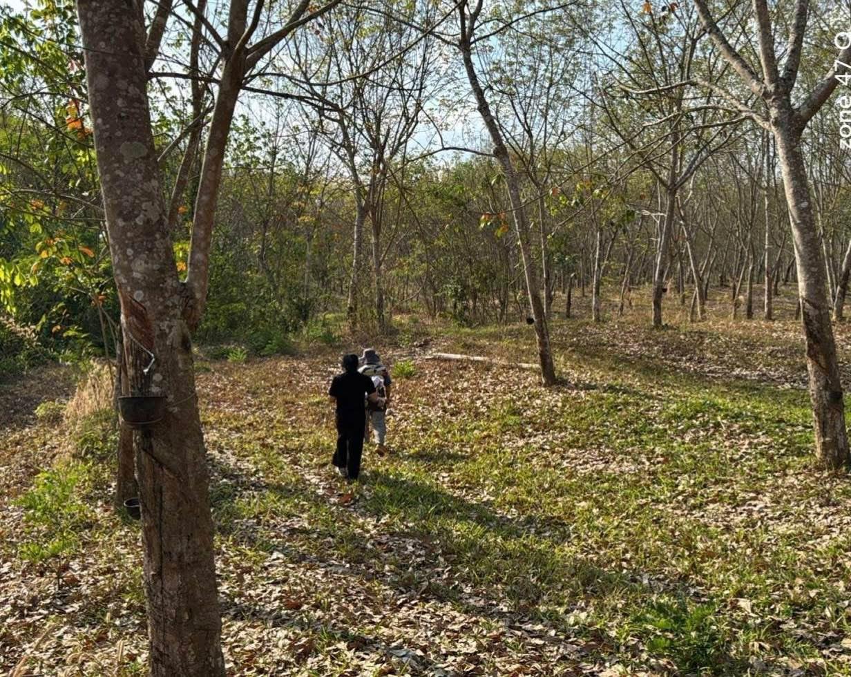 ภาพประกอบที่ 3