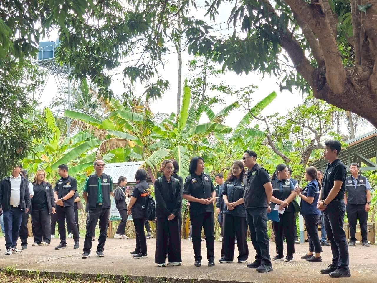 ภาพประกอบที่ 2