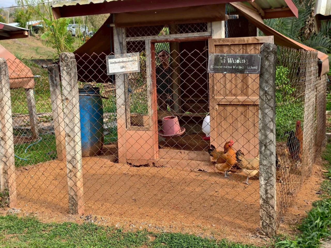 ภาพประกอบที่ 6