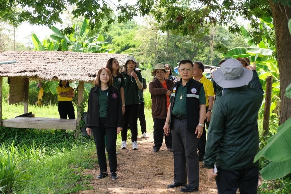 ภาพประกอบที่ 1