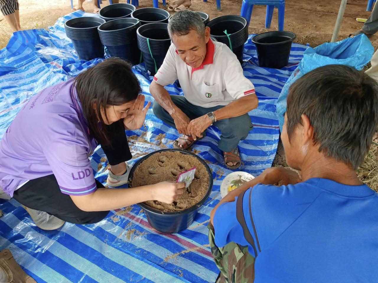 ภาพประกอบที่ 2