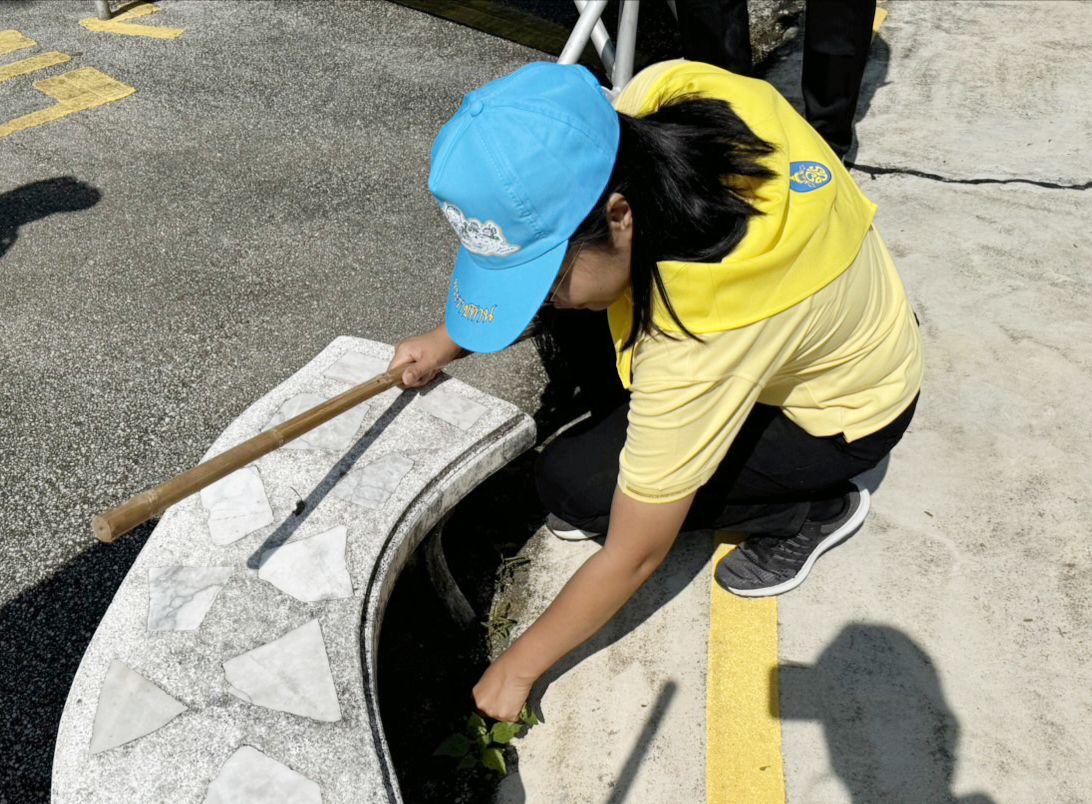 ภาพประกอบที่ 5