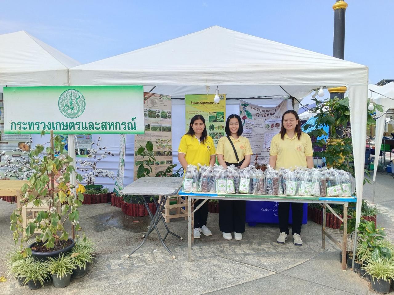 ภาพประกอบที่ 7