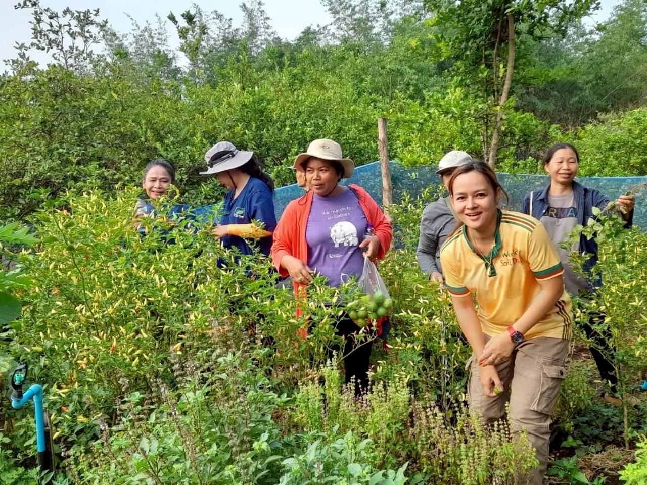 ภาพประกอบที่ 0