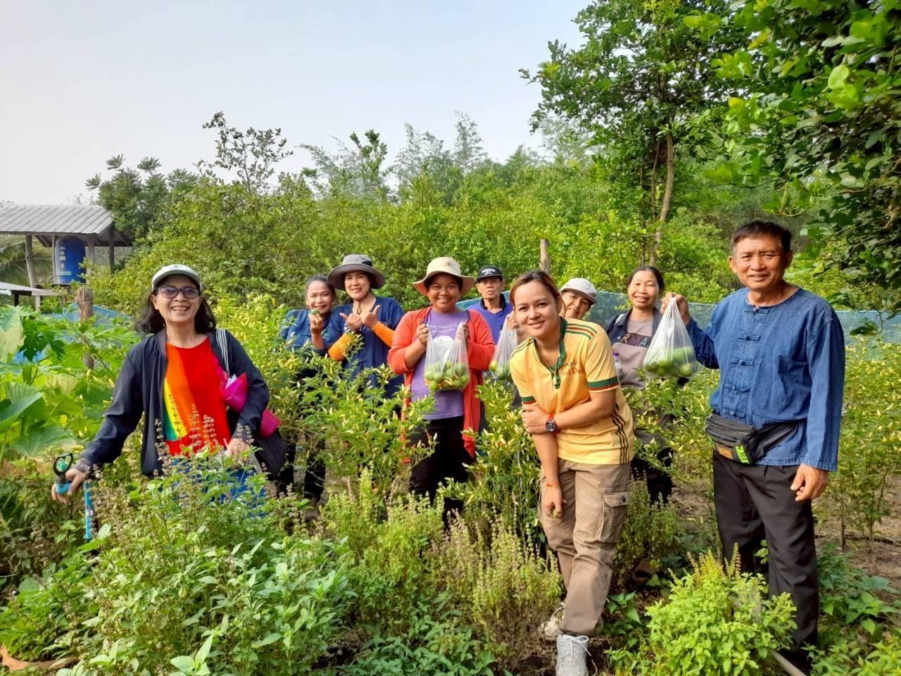 ภาพประกอบที่ 4