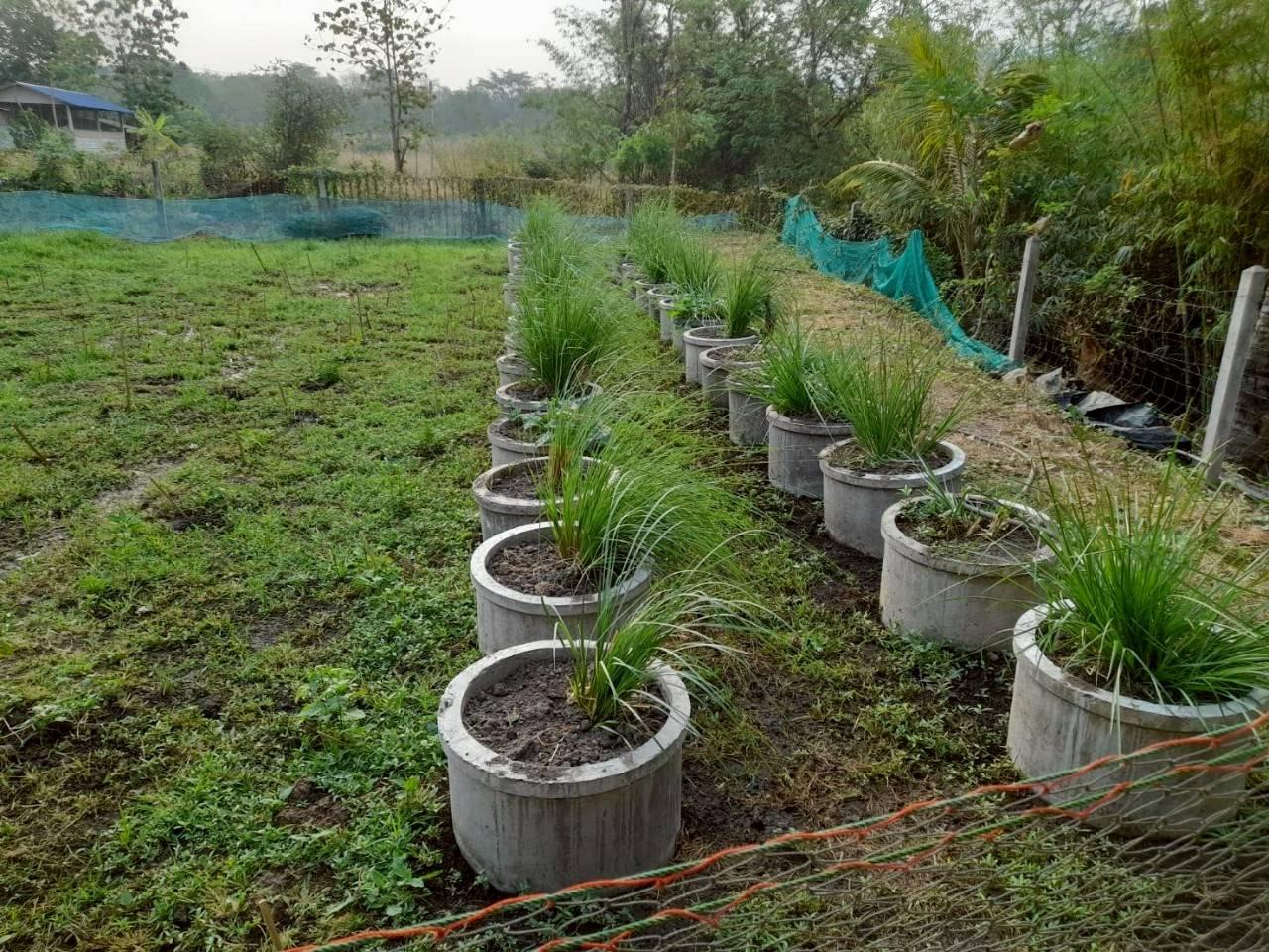 ภาพประกอบที่ 7