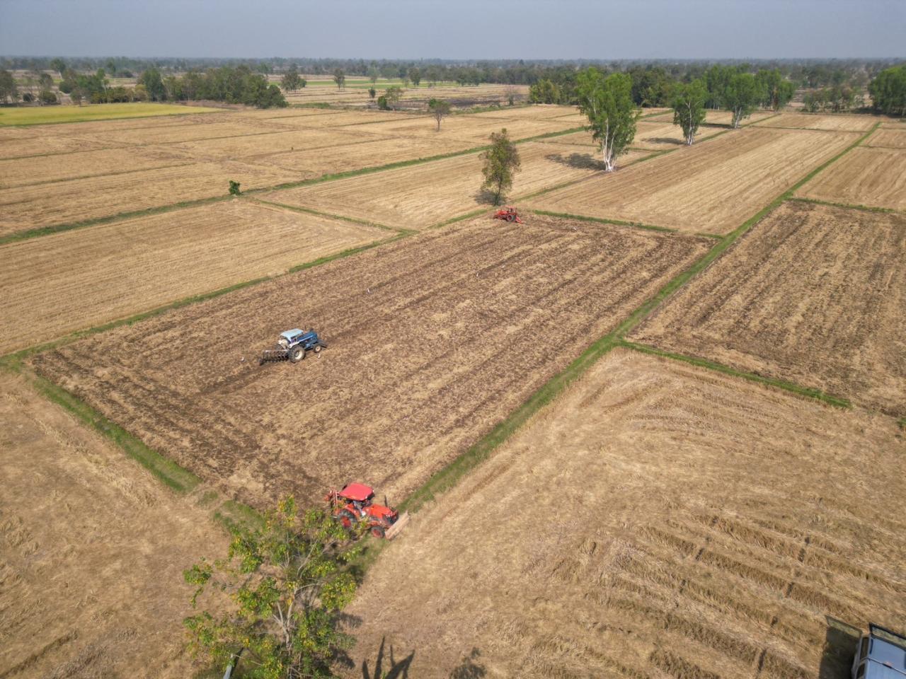 ภาพประกอบที่ 11