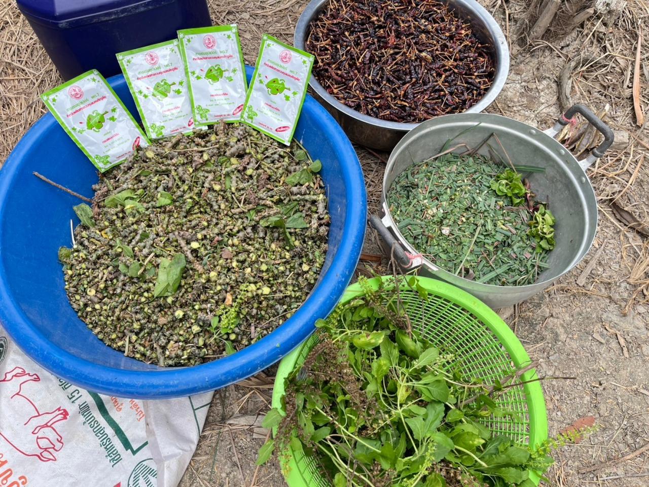 ภาพประกอบที่ 12