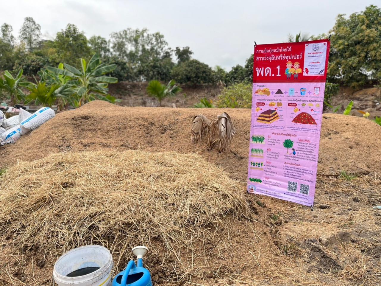 ภาพประกอบที่ 11