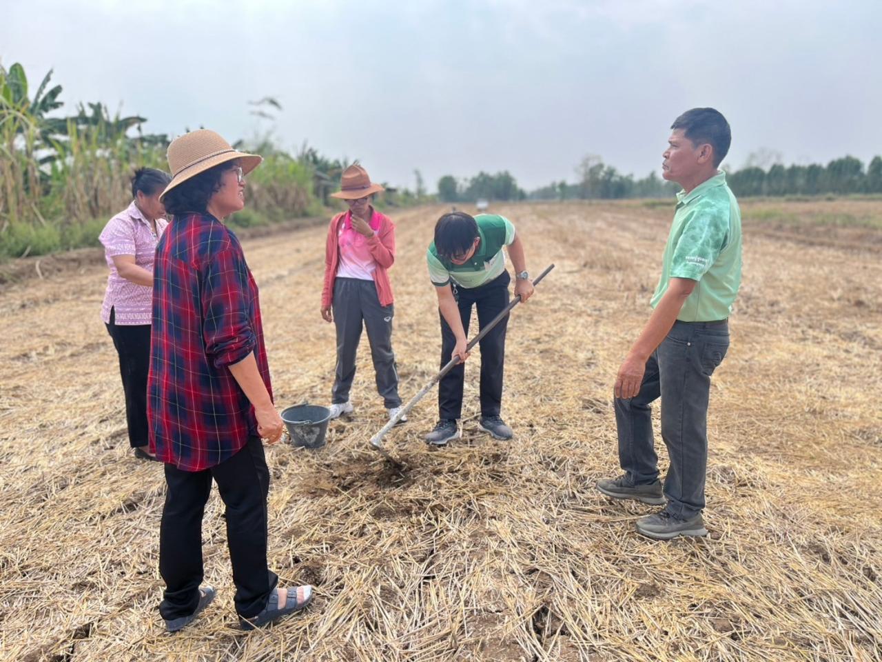 ภาพประกอบที่ 5