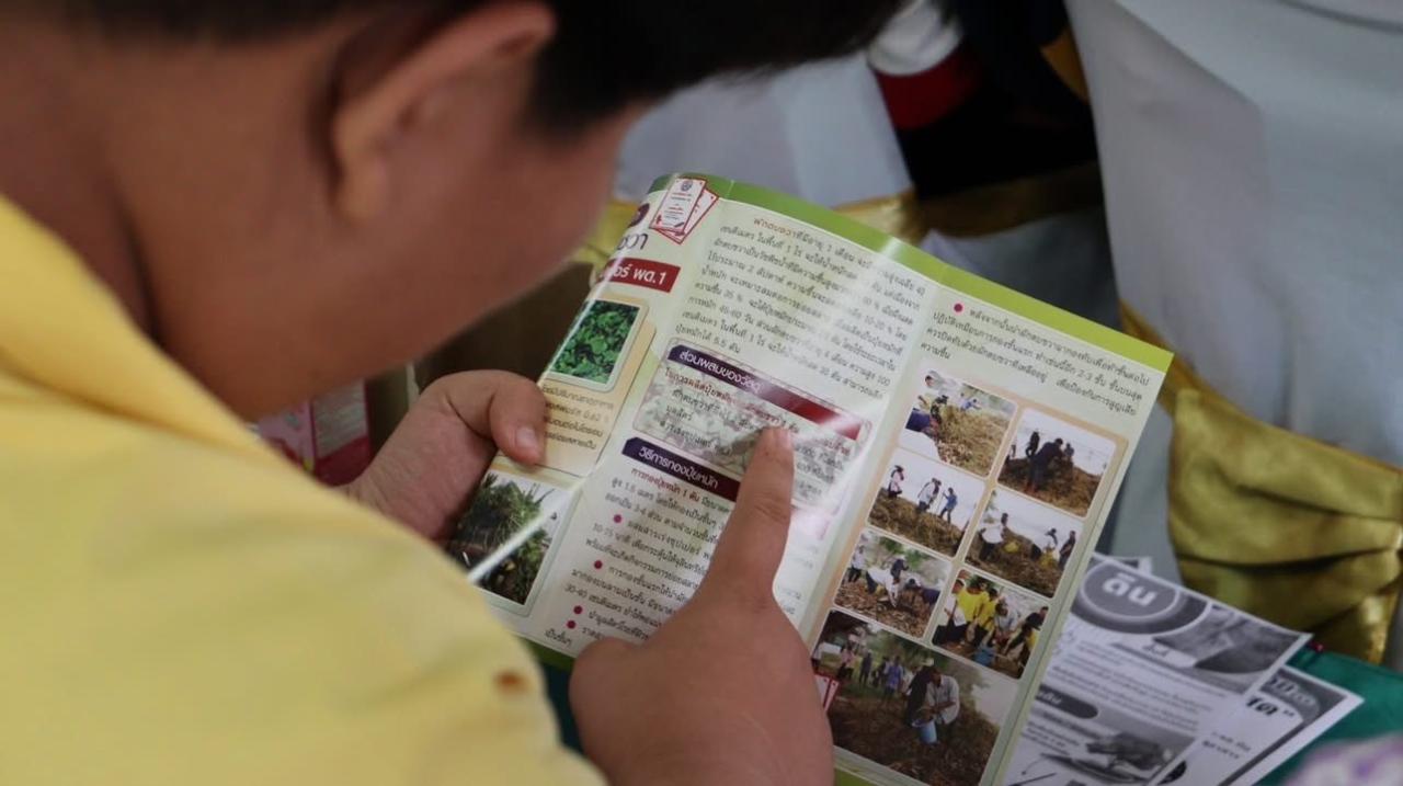 ภาพประกอบที่ 7