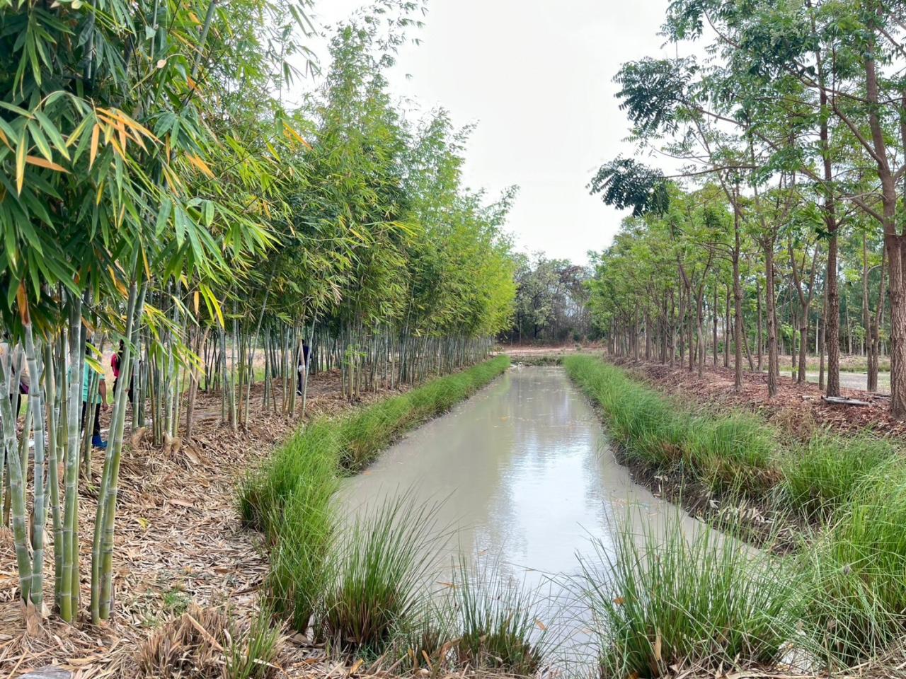 ภาพประกอบที่ 3