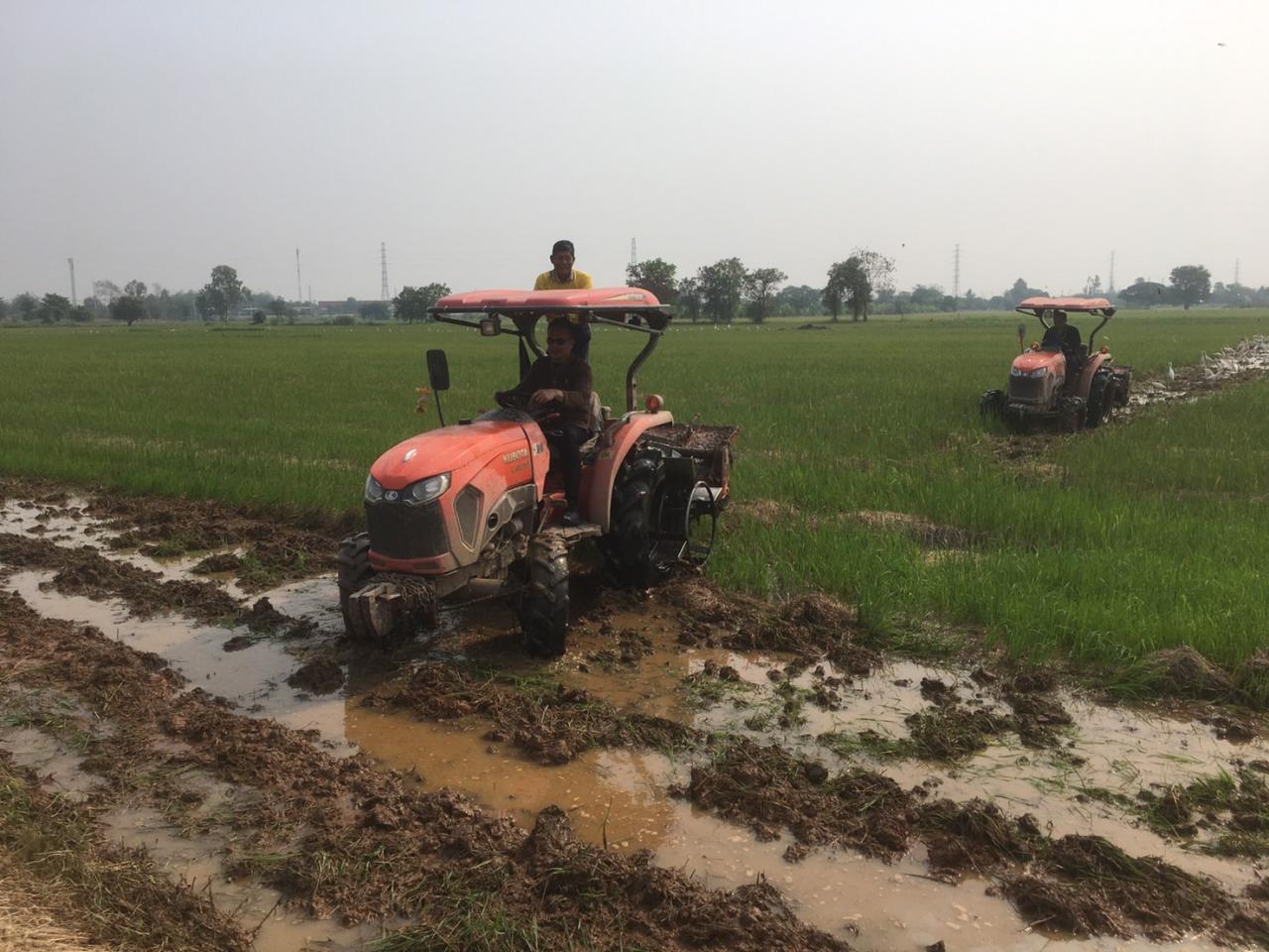 ภาพประกอบที่ 7