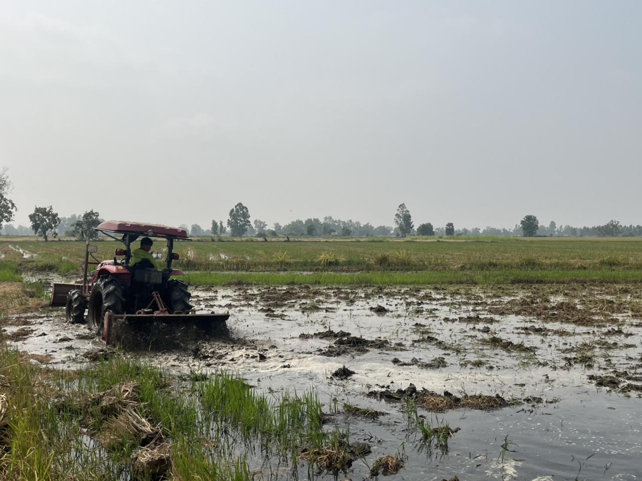 ภาพประกอบที่ 5