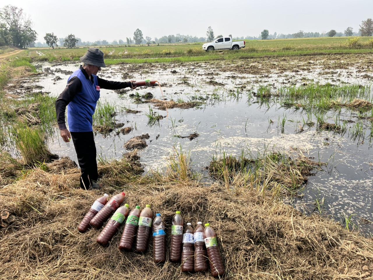 ภาพประกอบที่ 4
