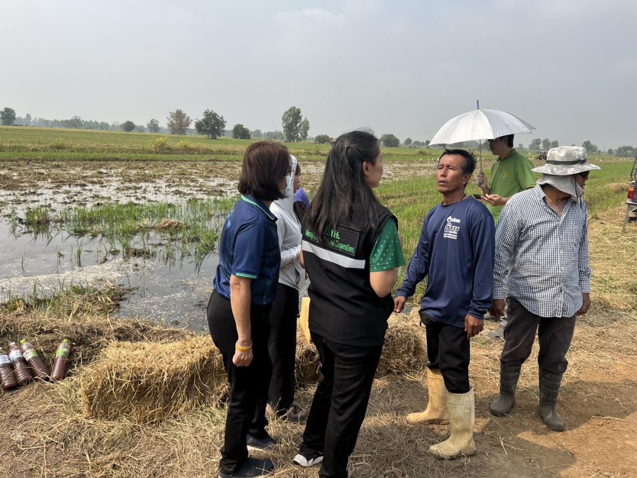 ภาพประกอบที่ 3