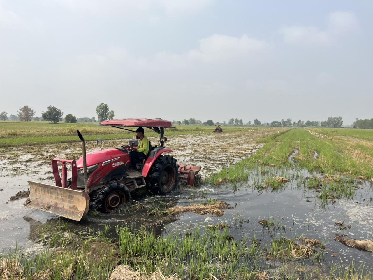 ภาพประกอบที่ 2