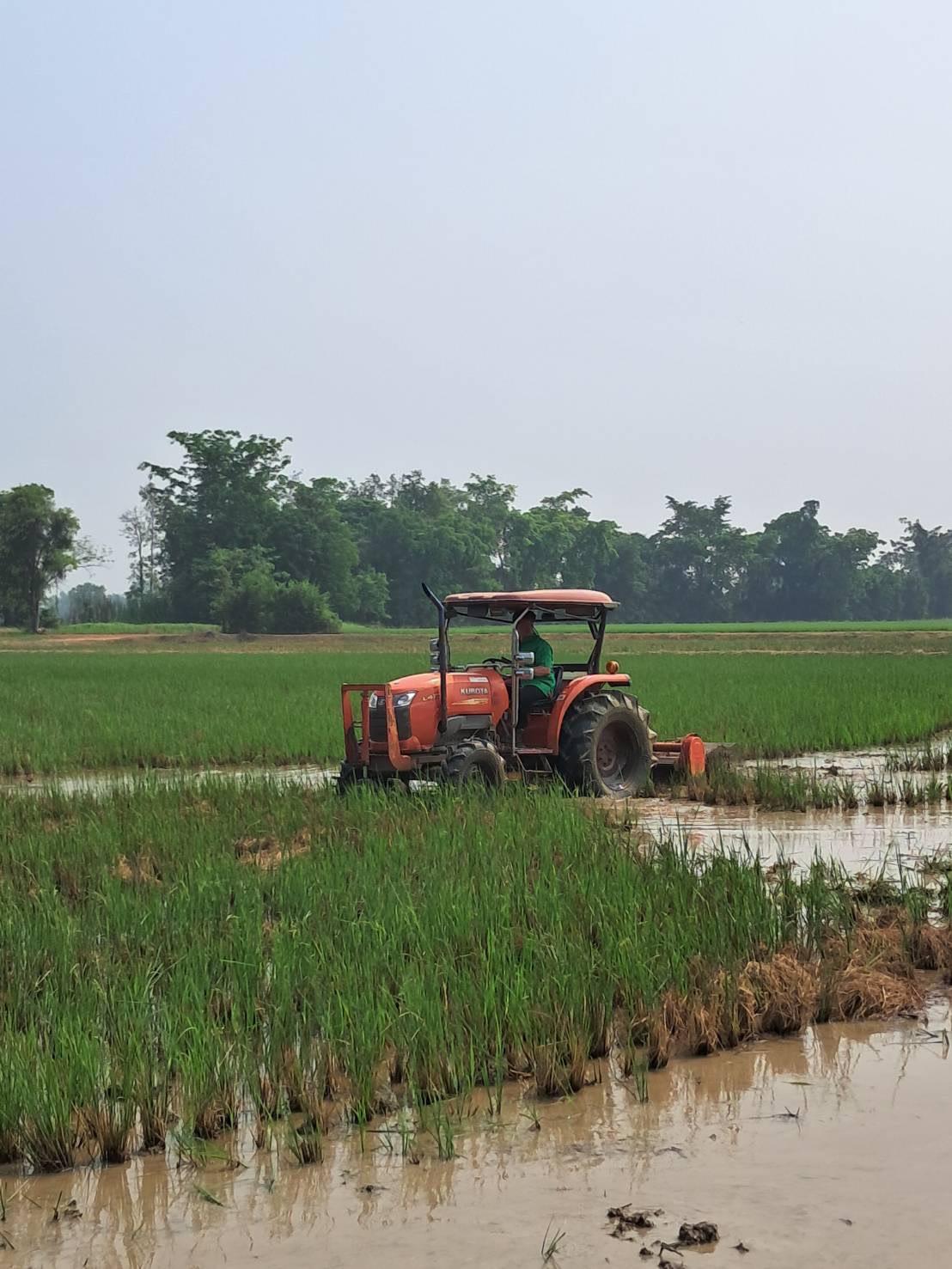 ภาพประกอบที่ 5