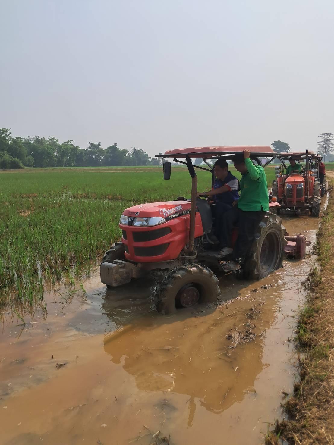 ภาพประกอบที่ 3