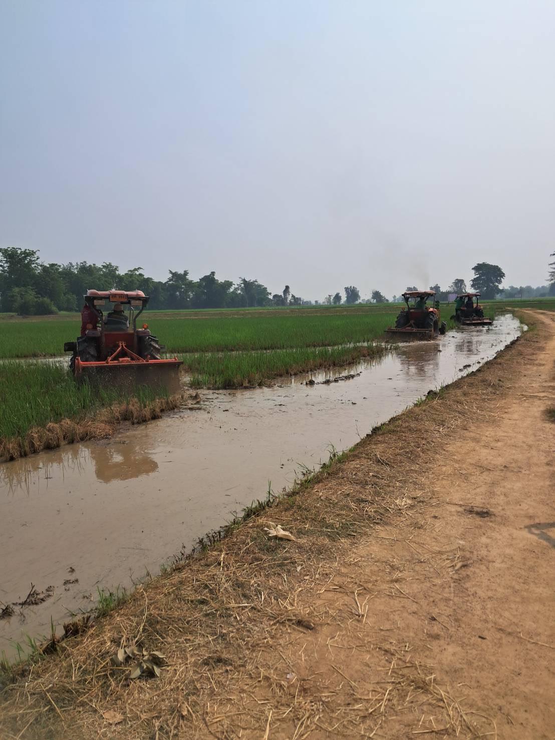 ภาพประกอบที่ 4