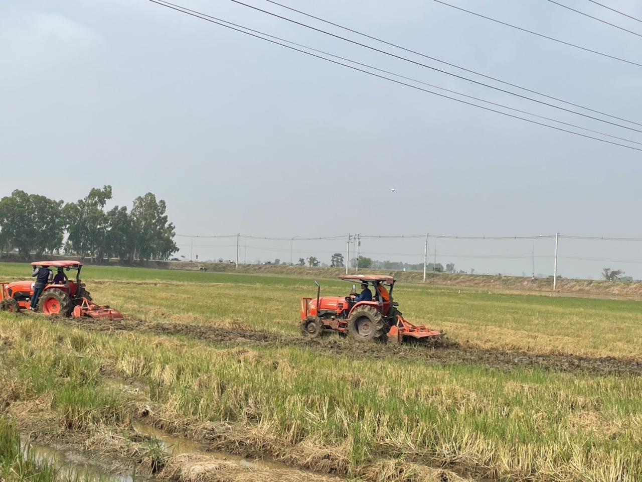 ภาพประกอบที่ 11