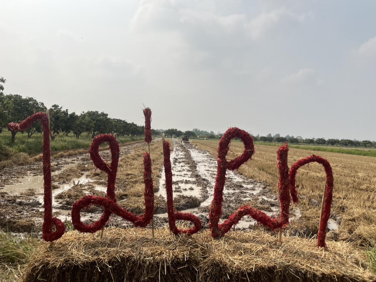 ภาพประกอบที่ 12